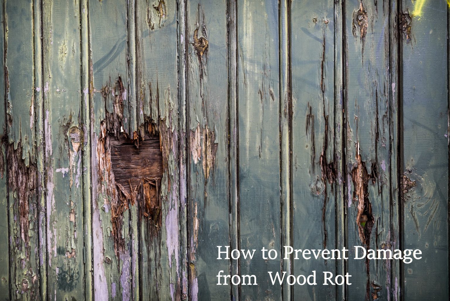 How To Prevent Damage From Wood Rot - Atlantic Foundation & Crawl Space ...